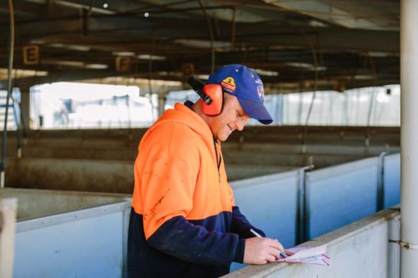 Safety Coordinator Australian Pork